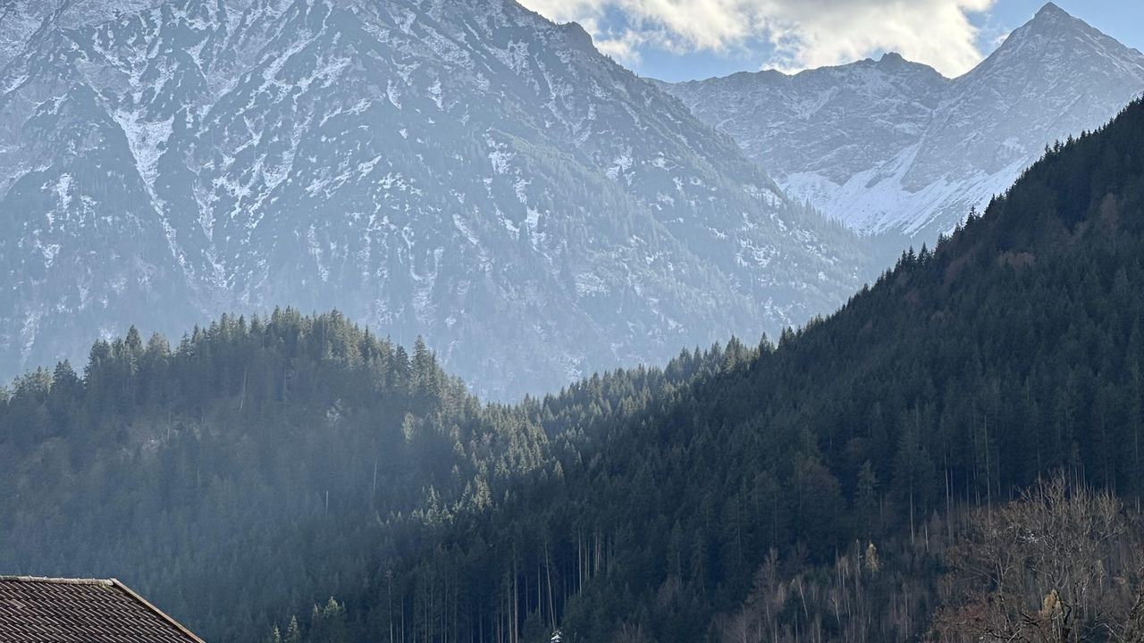 image00009 image00009